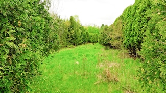 0 N Hartel Rd Unit 25022494, Potterville, MI 48876