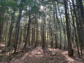 0 Trout Falls Rd, Bolton Landing, NY 12814