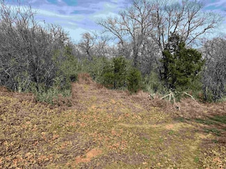 Lot 296-297 Pinemont St, Kingsland, TX 78639