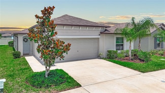 15611 Demory Point Place, Sun City Center, FL 33573