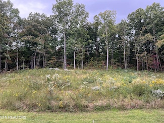 0 Willow Ridge Dr, Crossville, TN 38571