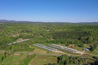 111 County Road 107, Delta, AL 36258