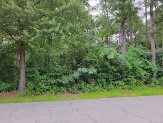 0 Virginia Ave, Roanoke Rapids, NC 27870