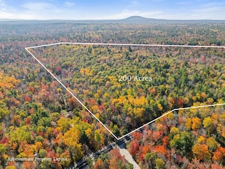 Lot #15 Toddy Pond Rd, Surry, ME 04684