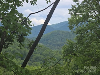 89 Weeping Cherry Forest Rd, Fairview, NC 28730