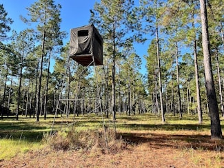 0 Lower River Rd Unit 25251342, Hawkinsville, GA 31036