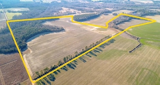 0 Tbd Hwy 381 Unit LotWP001, Clio, SC 29525