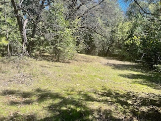 0 Allan Rd Unit 225035690, Volcano, CA 95689