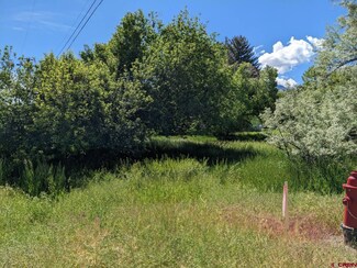1521 1st St, Paonia, CO 81428
