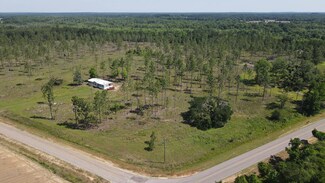0 State Line Rd & Decatur Rd, Cottonwood, AL 36320