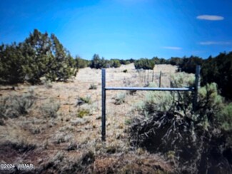 3978 Ramsey Rd, Snowflake, AZ 85937