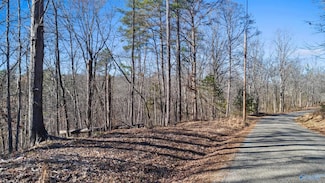 12 Bishop Mountain Rd, Grant, AL 35950