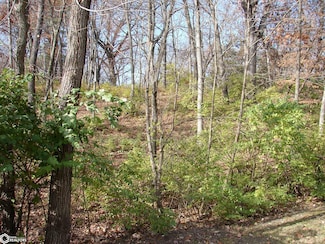 Lot 1 S Hoaglin Dr, Mount Pleasant, IA 52641