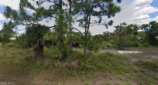 1125 Crocus St, Lehigh Acres, FL 33974
