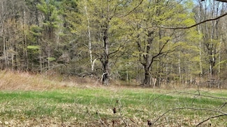 0 W Branch Rd, Charlemont, MA 01339