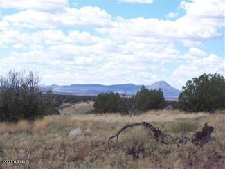 996 Couchman's Trail Unit 204, Ash Fork, AZ 86320