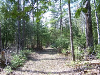 0 Hayes Ln Unit 10 Acres +/- 283037, Carp Lake, MI 49718