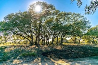 000 Highway 281, Blanco, TX 78606