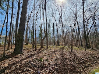 155 S Hollow Rd, Hayden, AL 35079