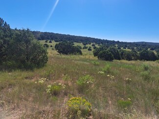 125 Upper Juan Tomas Rd, Tijeras, NM 87059