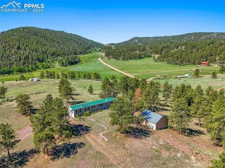 332 Valley Cir, Florissant, CO 80816