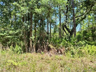 Lot C NE 66th Ct, Citra, FL 32113