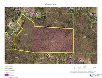 39 acres Fowlers Ferry Rd, Southside, AL 35907