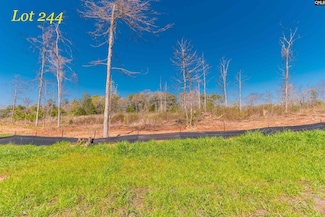 0 Woodside Shores Dr, Prosperity, SC 29127