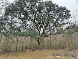0 Freddie Whiddon Rd, Webb, AL 36376