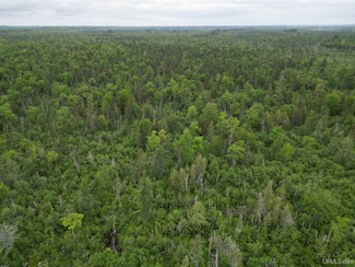 TBD Off Ee 25 Rd, Nahma Township, MI 49878