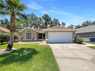 8812 Bayaud Dr, Tampa, FL 33626