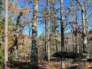 Lot 45 Black Diamond Dr, New Castle, VA 24127
