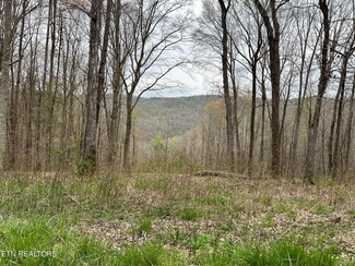 0 Apache Rd Unit 1258930, Jamestown, TN 38556