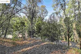 6687 Thornhill Dr, Oakland, CA 94611