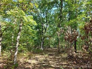 30915 Broken Circle Rd, Buffalo Township, MO 65078