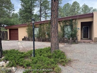 113 Dancing Star Trail, Alto, NM 88312