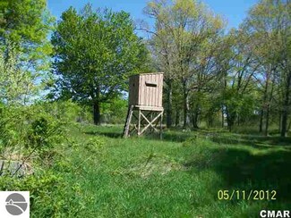 9950 Parks Rd, Elwell, MI 48832