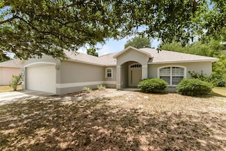 753 Willow Run St, Minneola, FL 34715