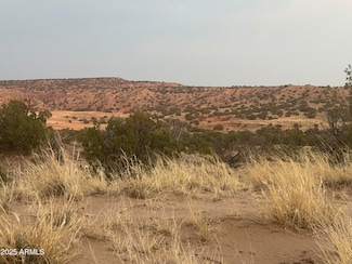 Lot 1041 Woodland Valley Ranch -- Unit 1041, Saint Johns, AZ 85936