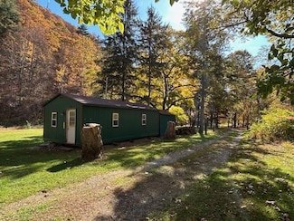 256 Creekside Ln, Morris, PA 16938