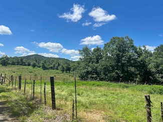 246 Burgess Rd, Bonnerdale, AR 71933