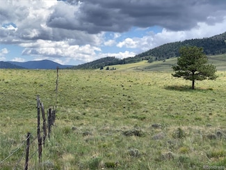 1485 Eagle Valley Rd Unit 36, Westcliffe, CO 81252