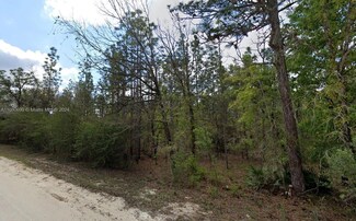 Lot 10 Albany Rd, Other City - In the State of Florida, FL 34614