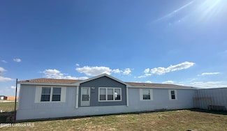 9819 County Road 5200, Shallowater, TX 79363