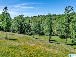5880 Rock Mountain Lake Rd Unit /38, Bessemer, AL 35022
