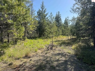 NNA Backroads Way Lot 3, Priest River, ID 83856