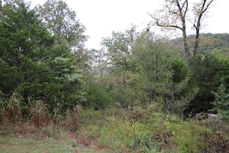 Lot 3 Silver Oak Way, Ruth C Township, MO 65737