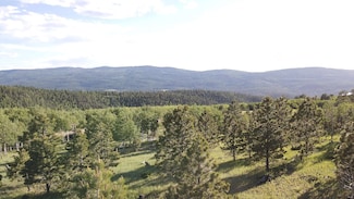 Lot 153 Beaver Loop, Angel Fire, NM 87710