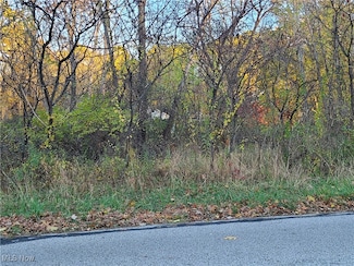 6318 1st Ave, Kent, OH 44240