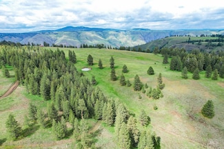 205 Burnt Creek Rd, Cottonwood, ID 83522
